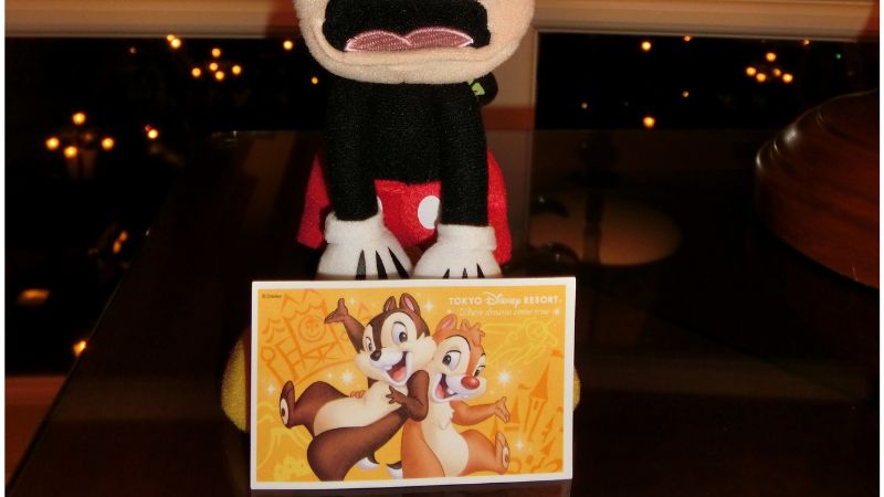 ディズニーパークチケット